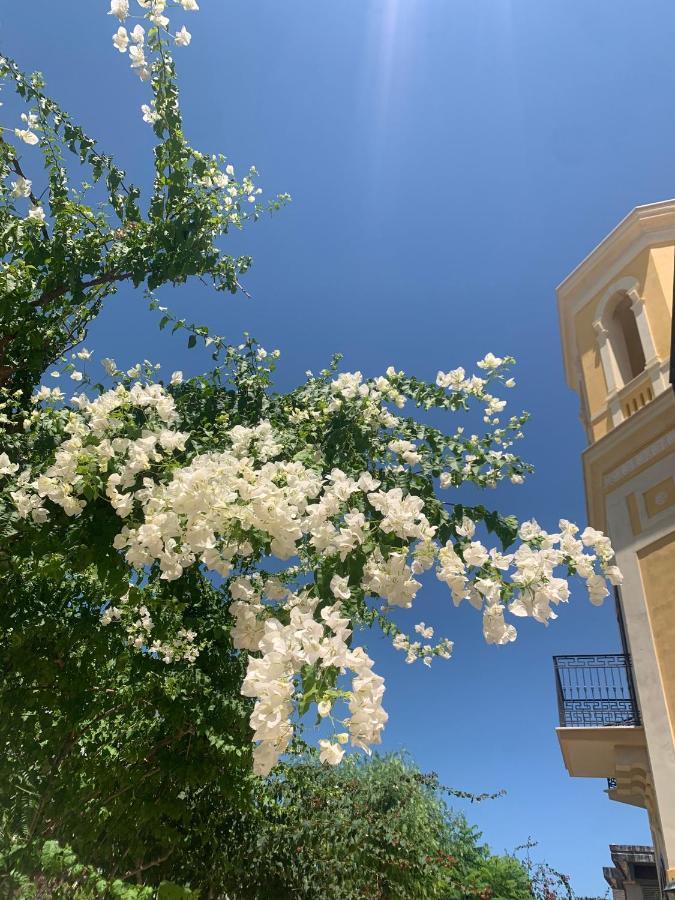 טרני Villa Giada מראה חיצוני תמונה