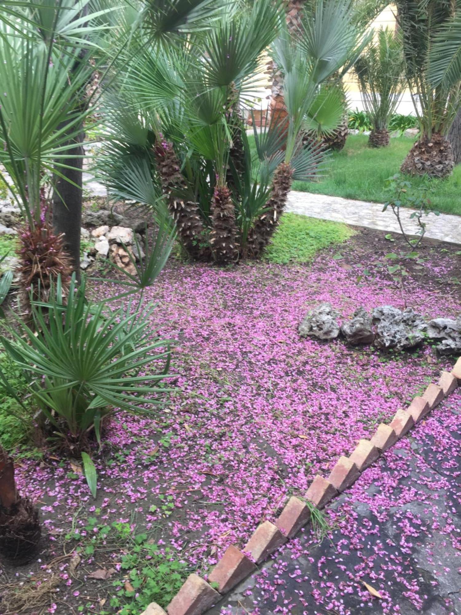 טרני Villa Giada מראה חיצוני תמונה